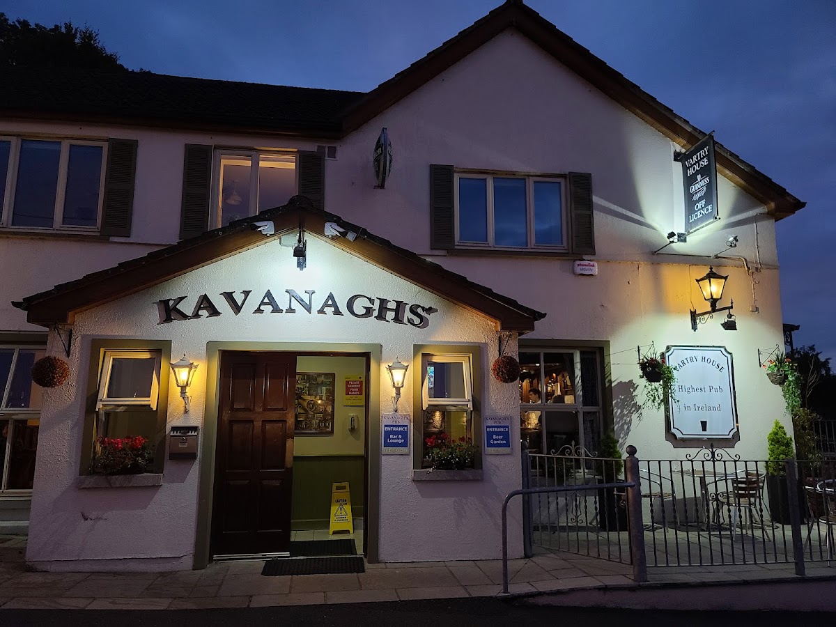 Kavanagh's Vartry House - Photo 4