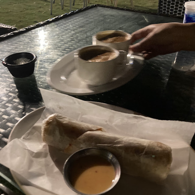 Bar B Que Paratha Roll