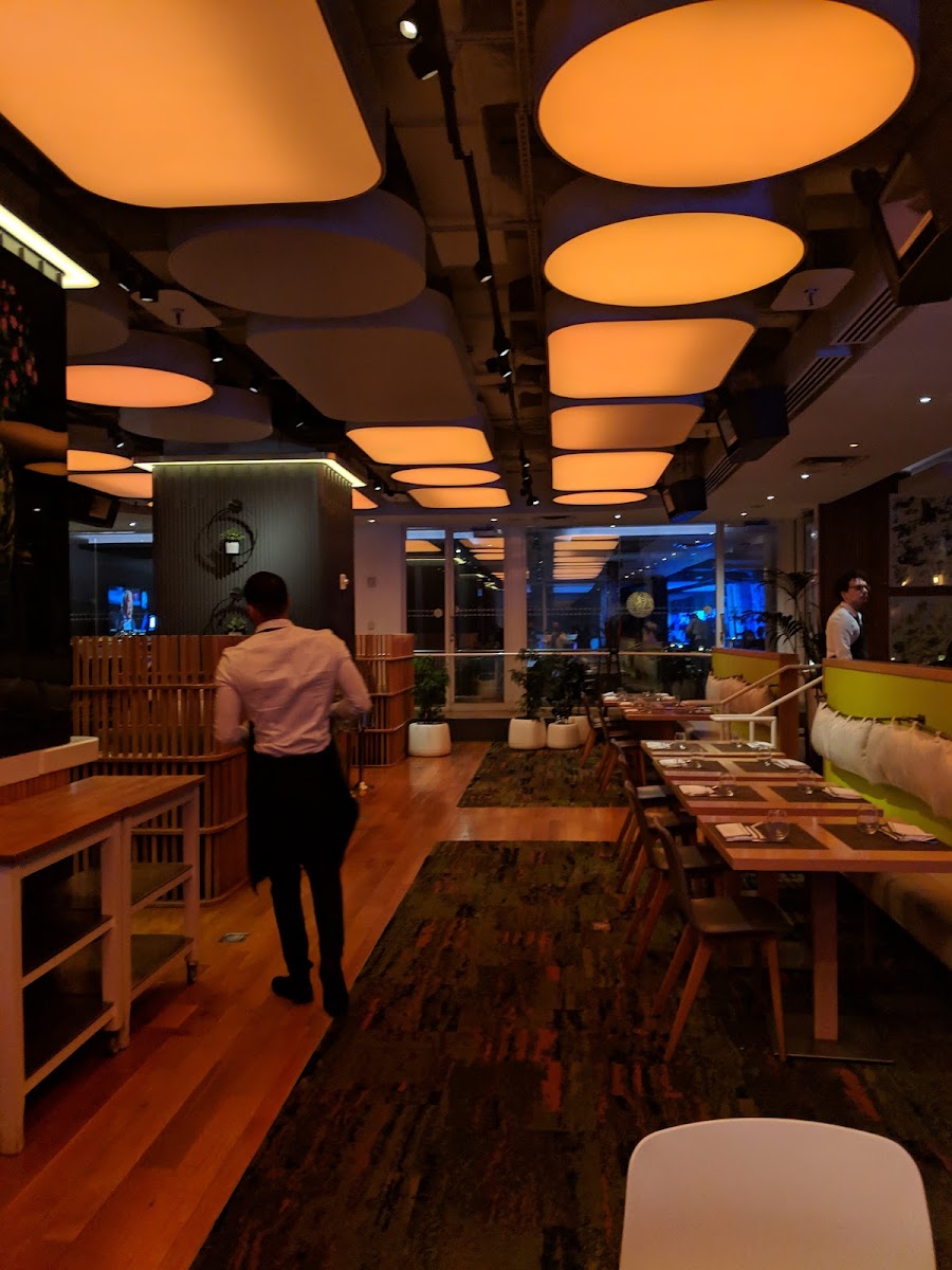 Green Fig - Photo 3
