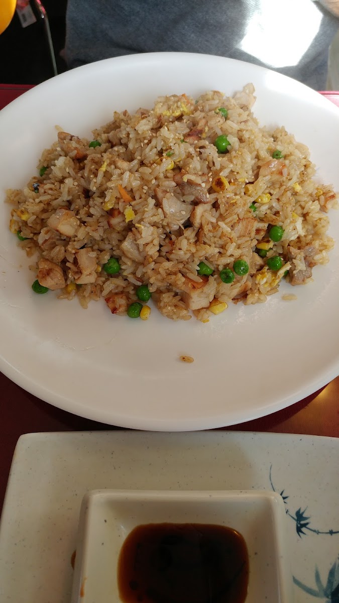 Ichiban Sushi Garden - Photo 4