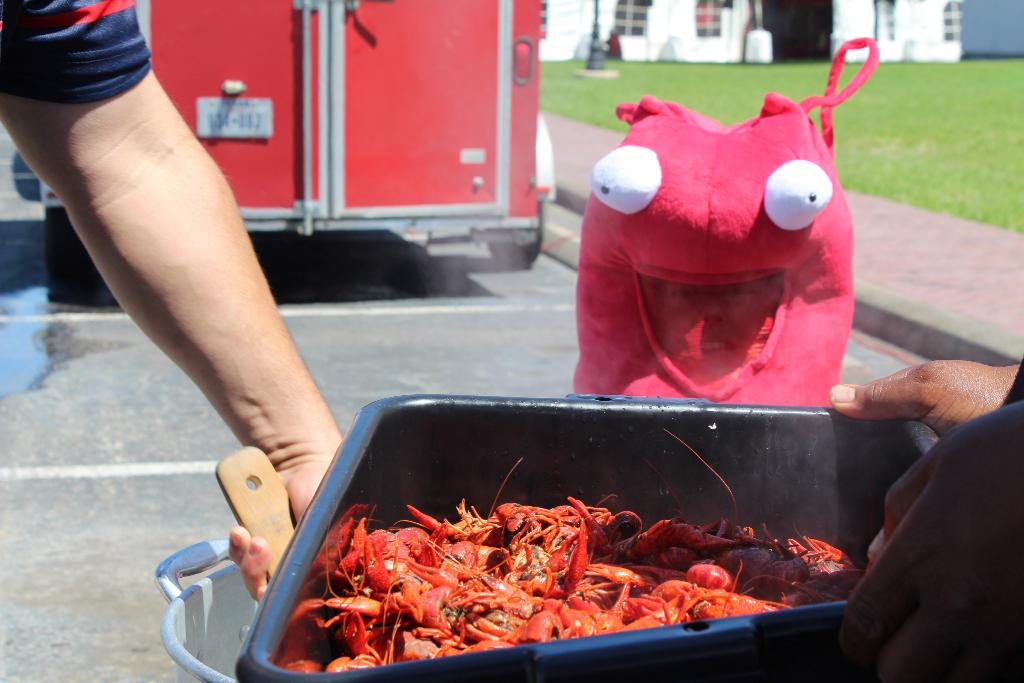 Craven Crawfish - Photo 3