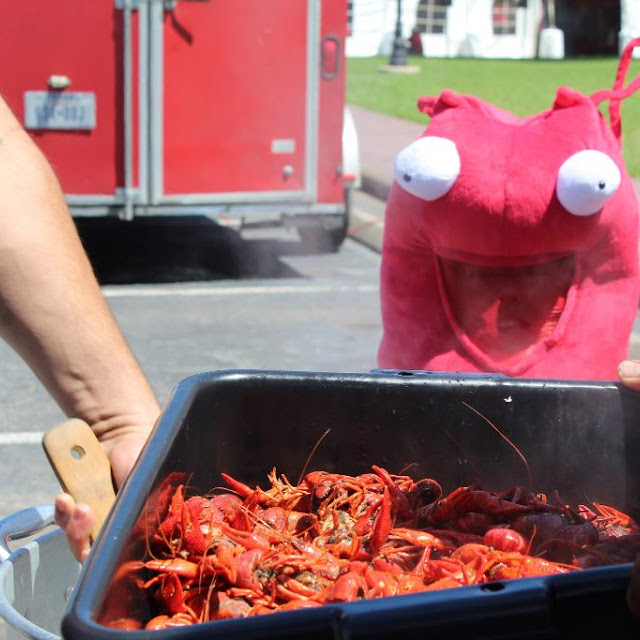 Boiled Crawfish