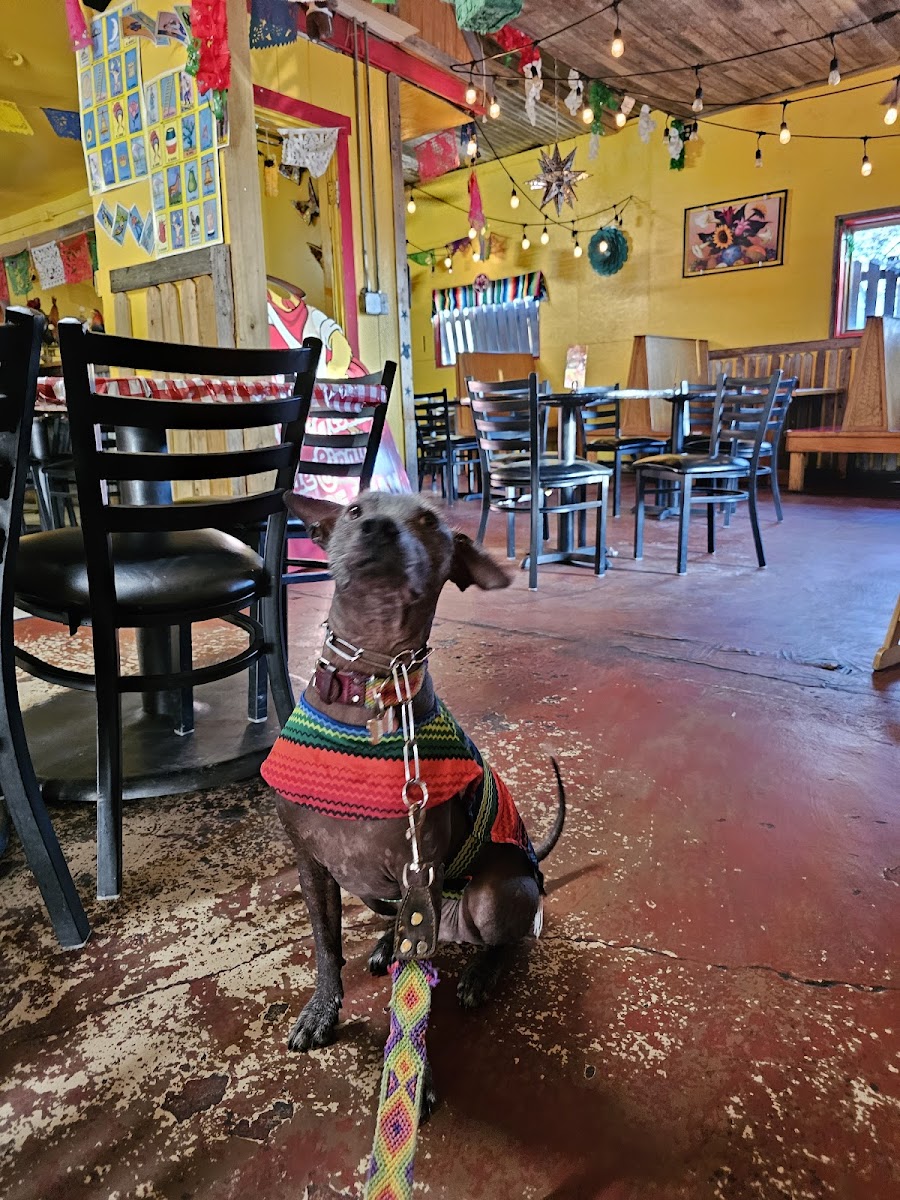 Pollos Asados de Sinaloa - Photo 2