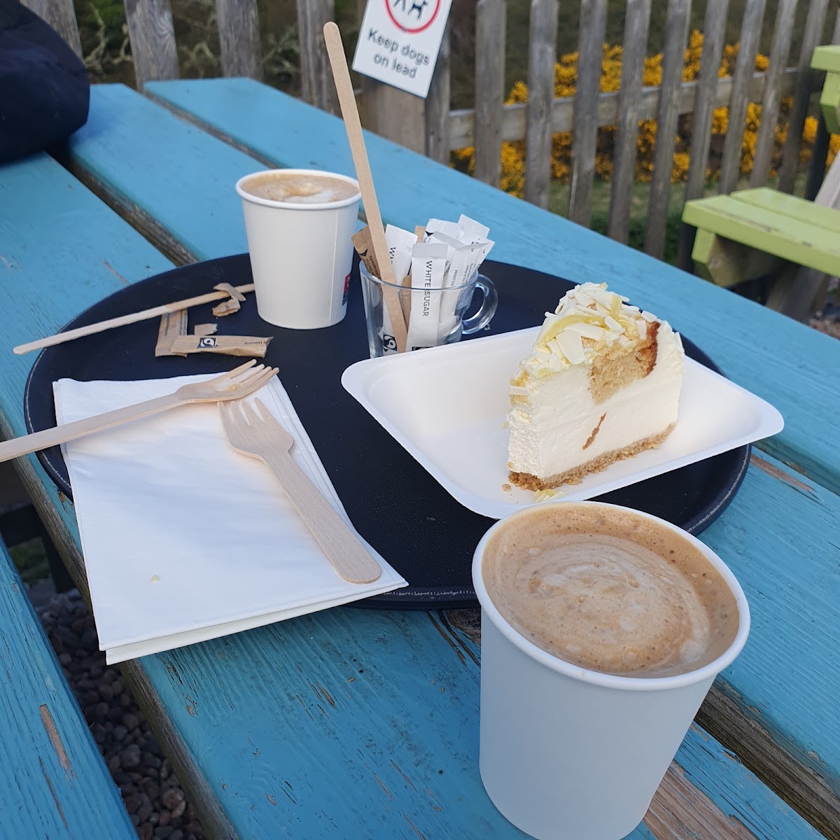Norse Bakehouse - Photo 5