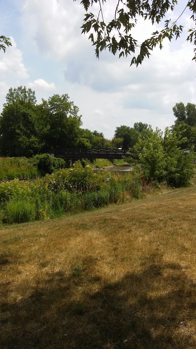 Linden House - Photo 7