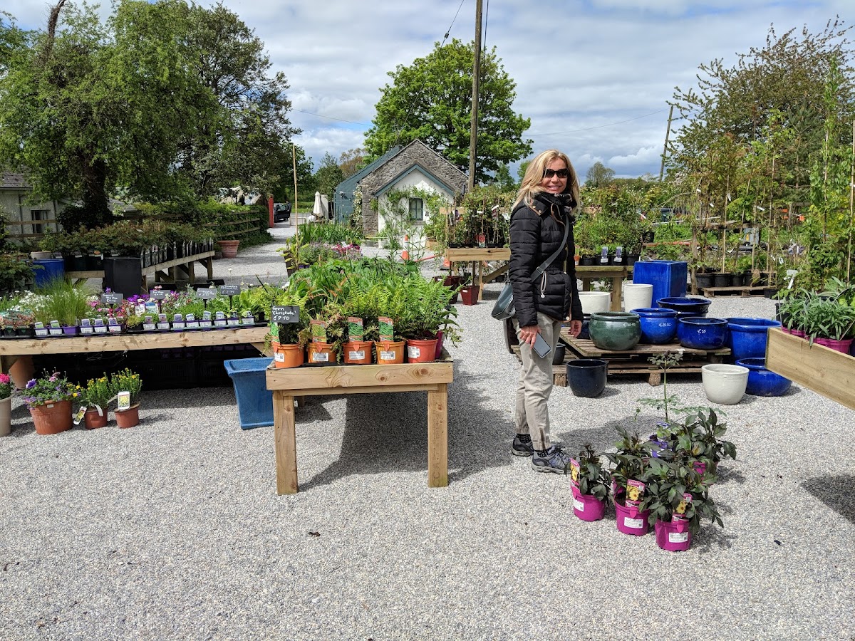 Woodfield Cafe and Garden Centre - Photo 8