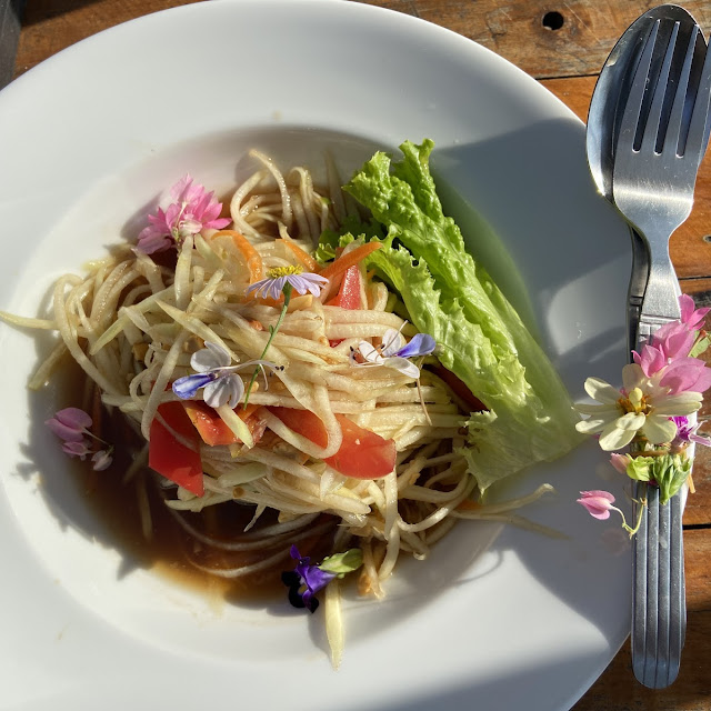 Papaya Salad with Raw