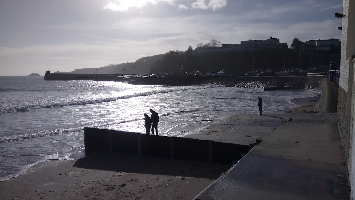 Shoreline - Photo 4