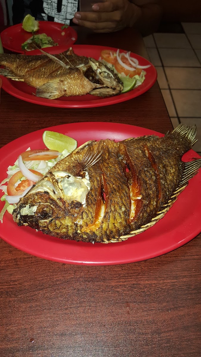 Daysi's Taqueria y Mariscos - Photo 6