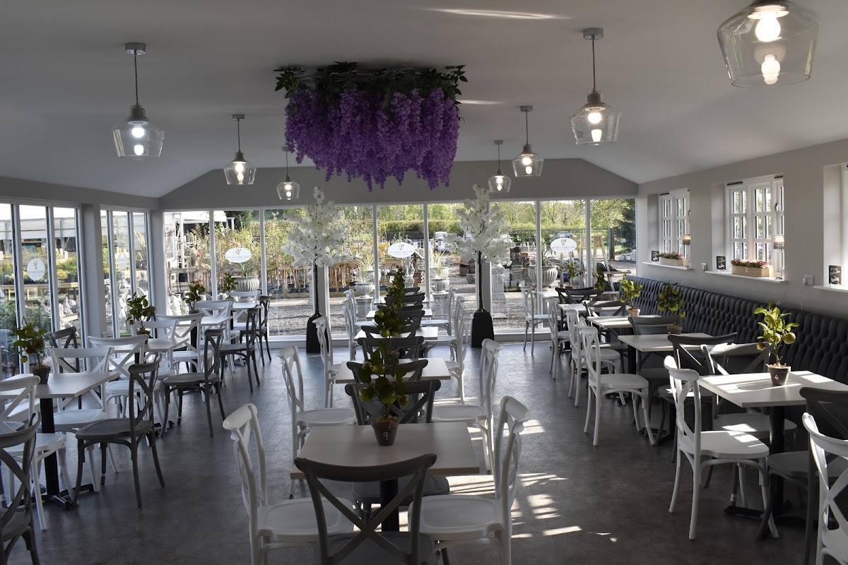 Brambles Coffee Shop - Photo 8