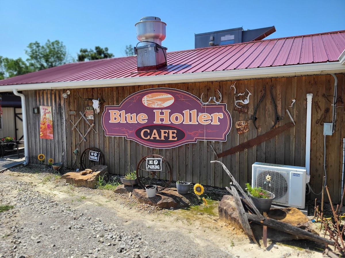 Blue Holler Cafe - Photo 2
