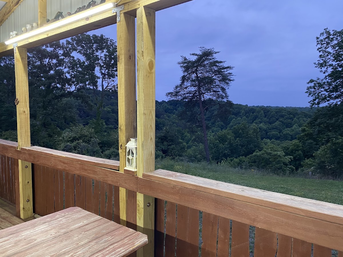 Blue Holler Cafe - Photo 6