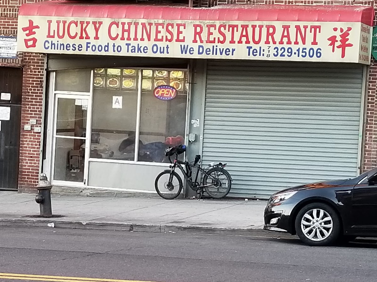 Lucky - Photo 2