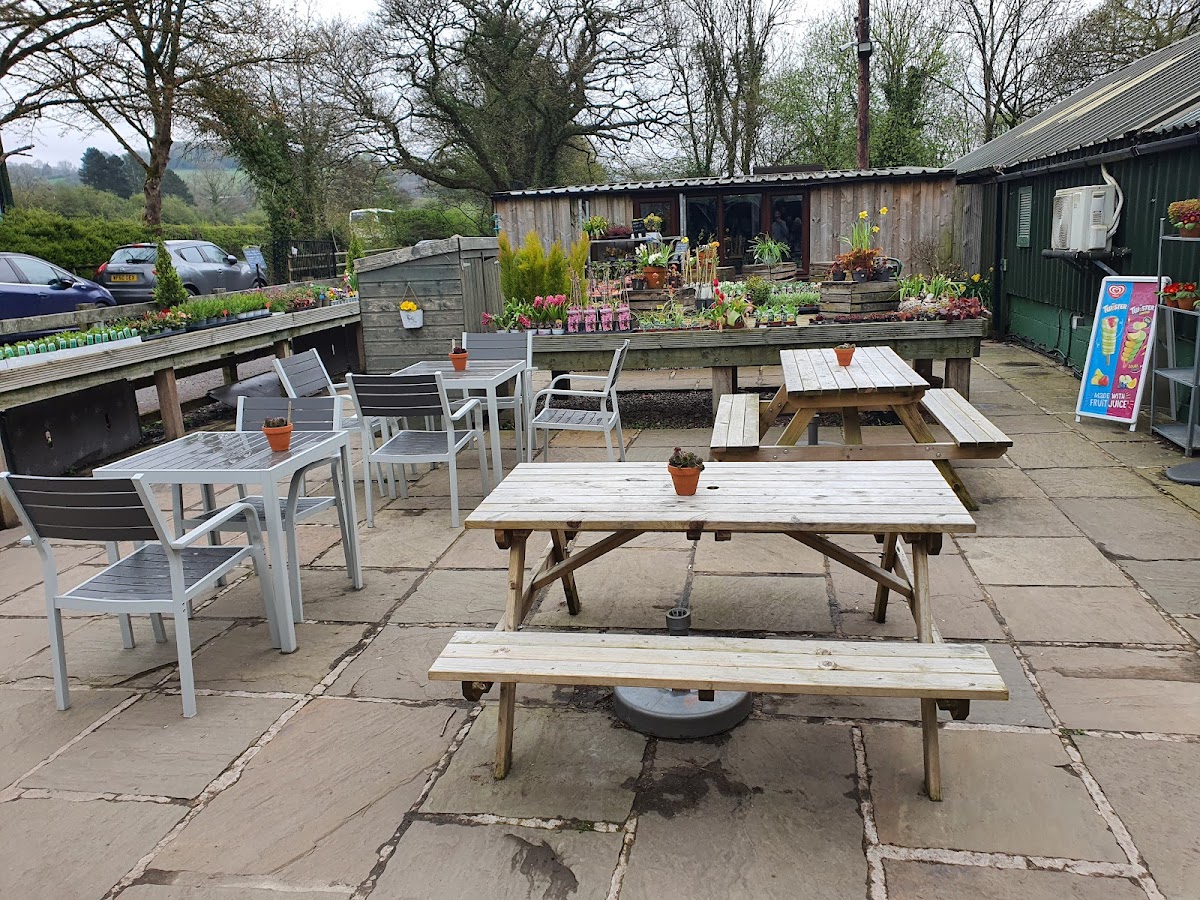 The Bird Cafe