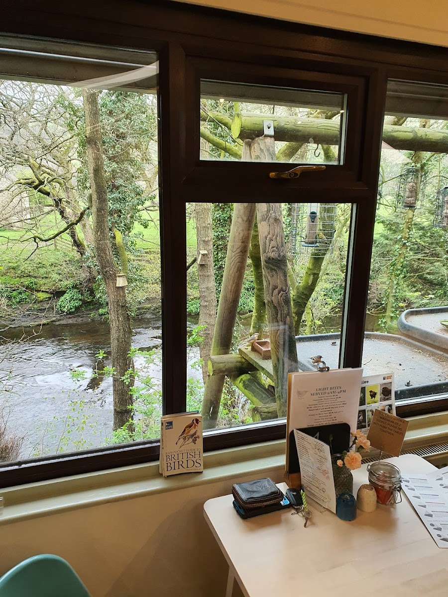 The Bird Cafe - Photo 1