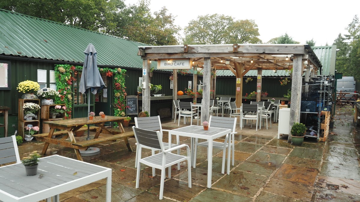 The Bird Cafe - Photo 6