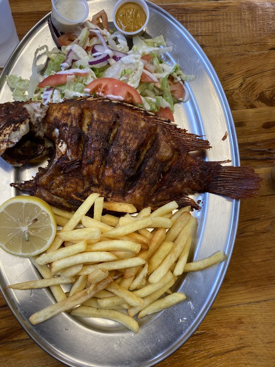 Oozie Chicken Plus - Photo 2