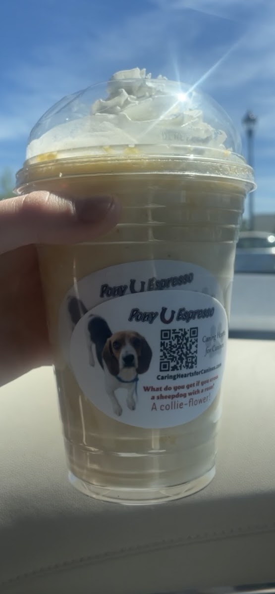 Pony Espresso - Photo 2