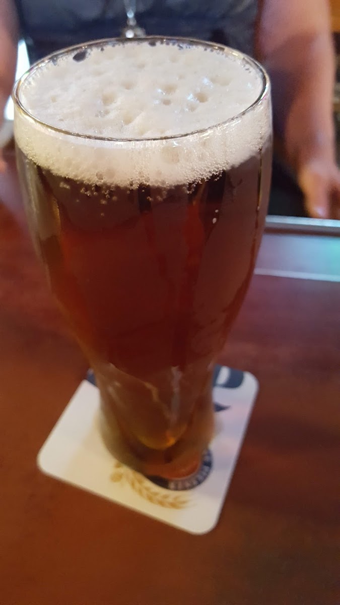 Oasis Bar & Grill - Photo 5