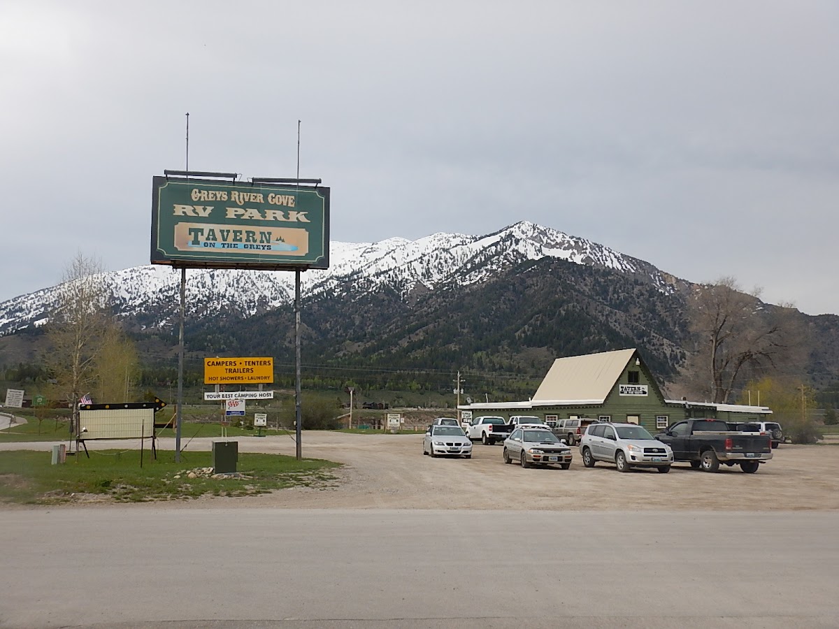 Tavern On the Greys - Photo 8