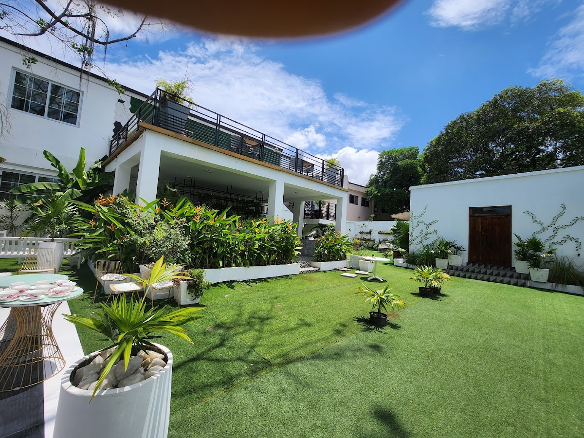Telande Tea Garden - Photo 6
