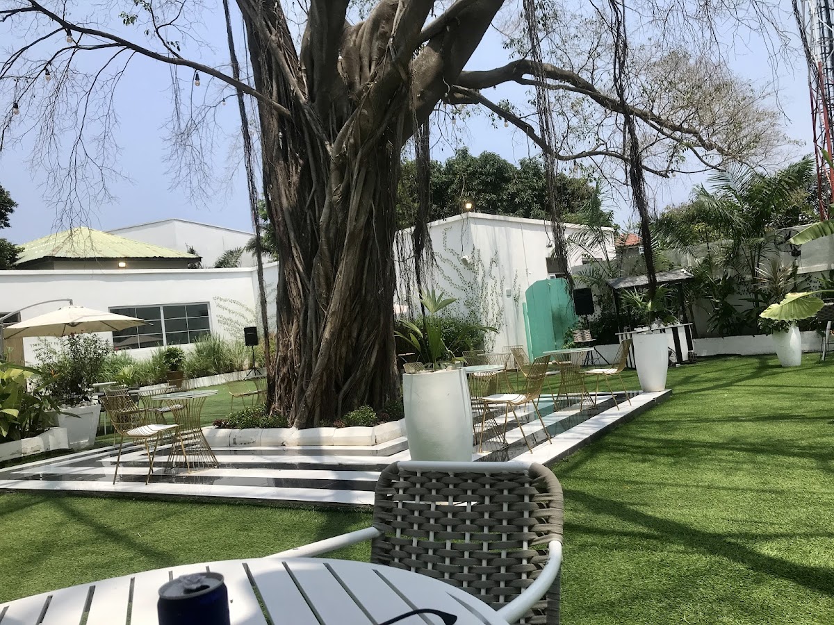 Telande Tea Garden - Photo 7