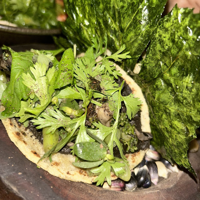 Mushroom Taco