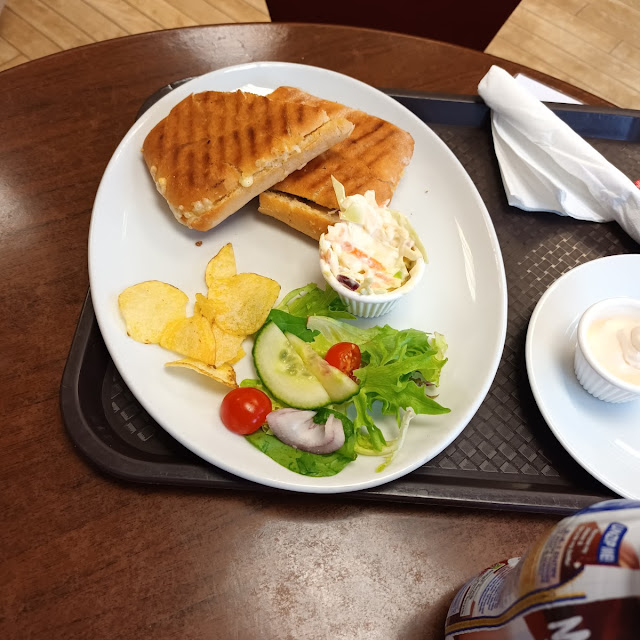 Panini