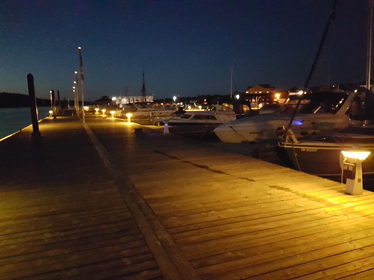 World Famous Dock Lunch - Photo 6
