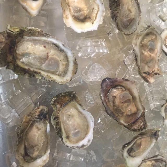 Oysters on the Half Shell