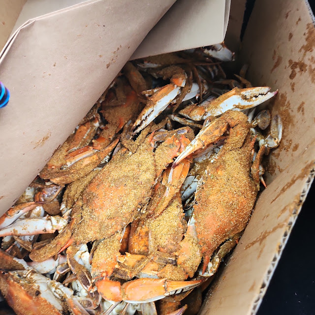 Bushel of Male Crabs