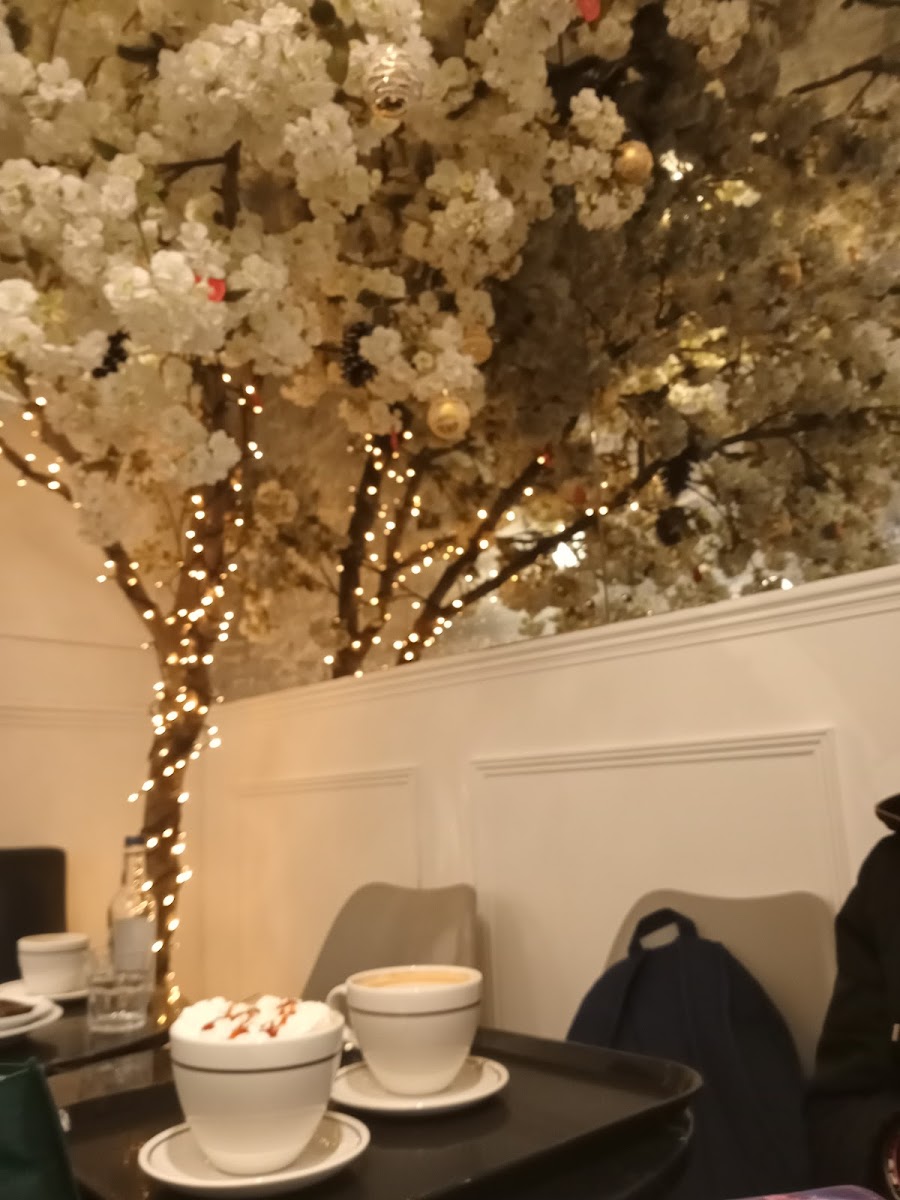 Coffee X - Photo 6