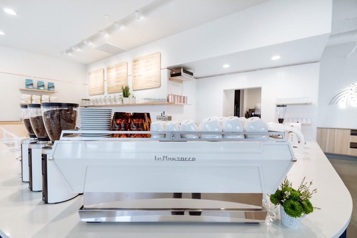 Wonderstate Coffee - Madison Cafe