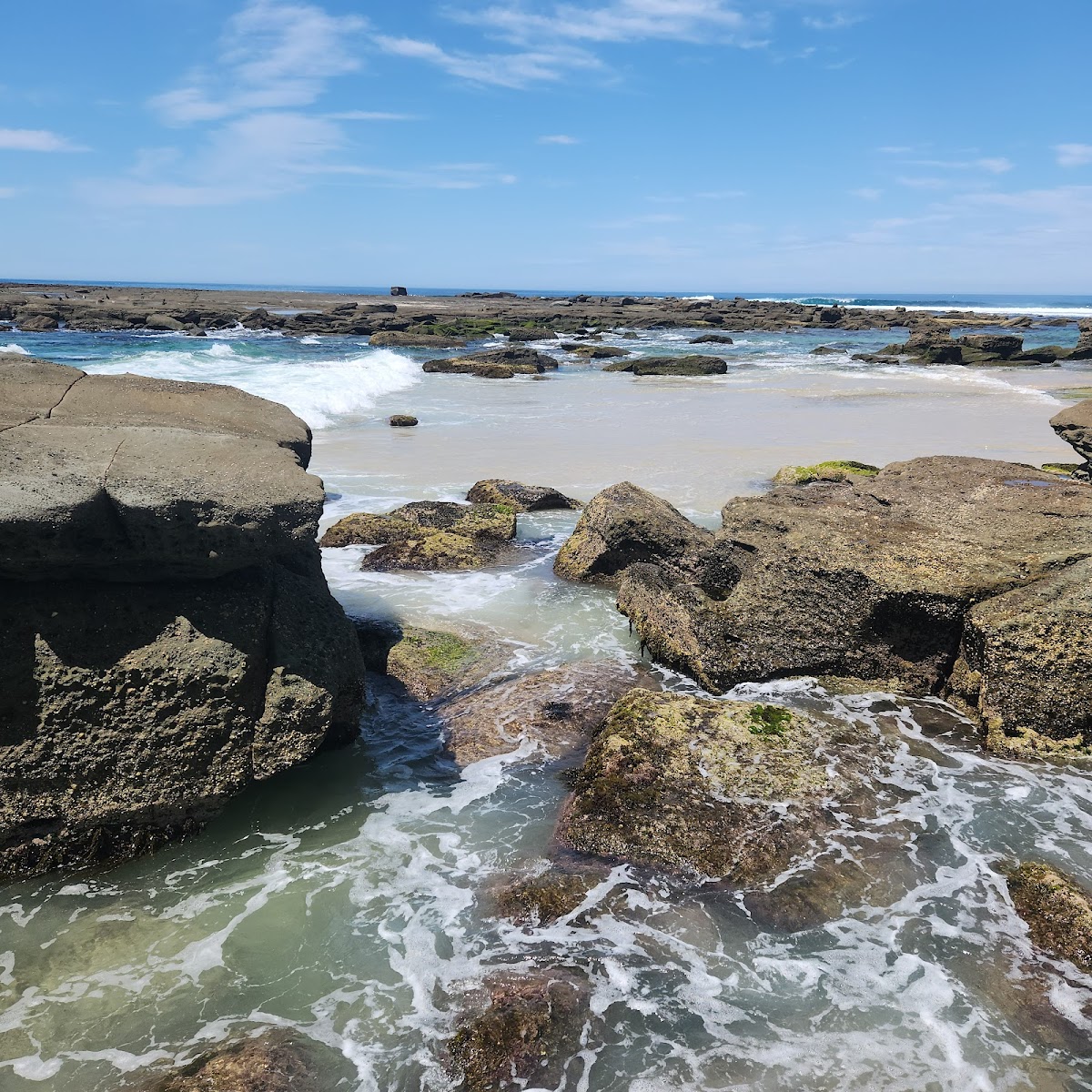 Surfside Snax - Photo 2