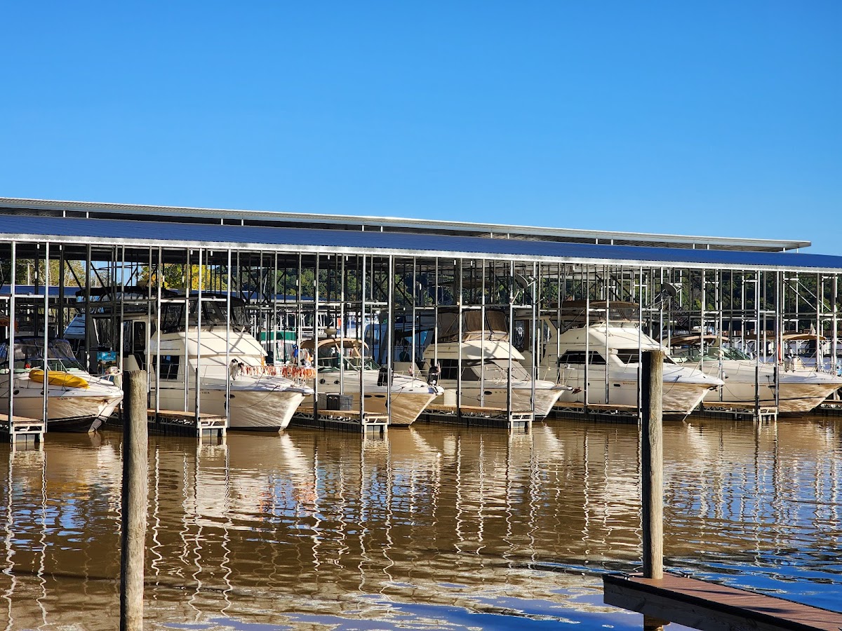 Calhoun's Lenoir City - Photo 3