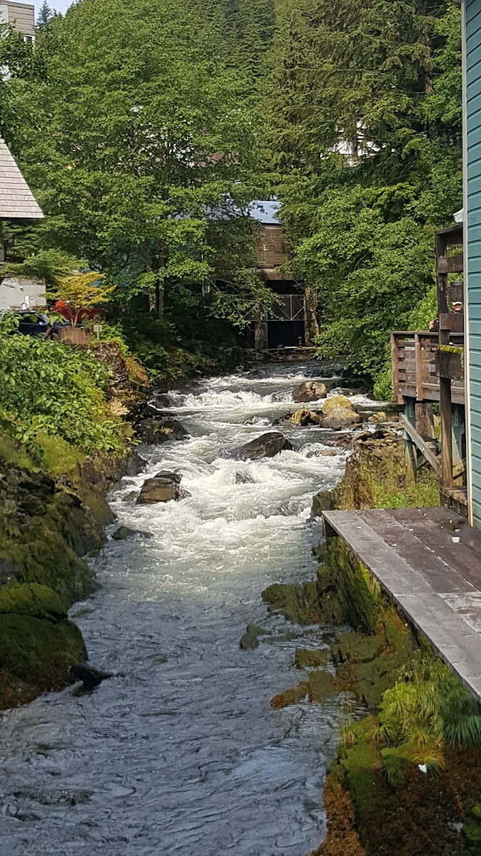 Good Fortune Restaurant Ketchikan - Photo 5