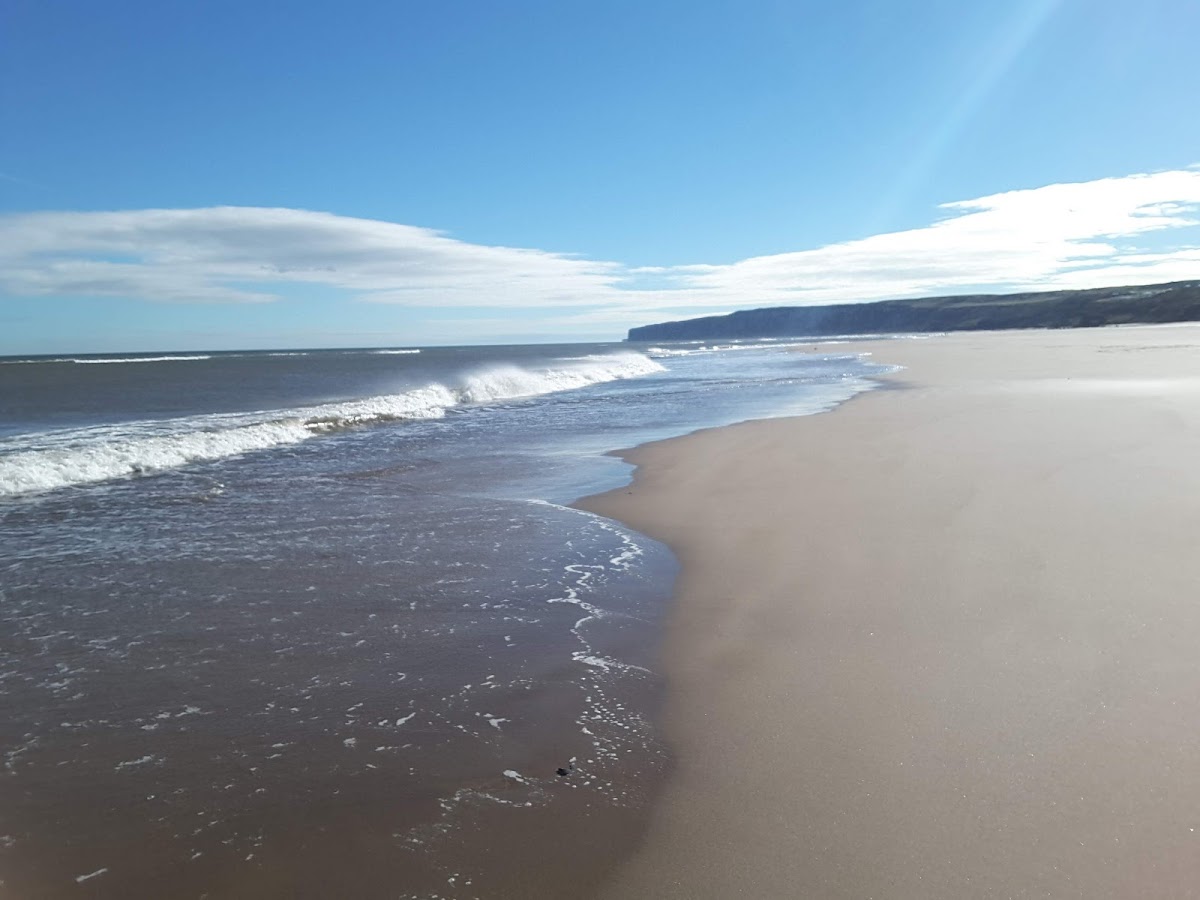 The Beach Café Filey YO14 9SL - Photo 7