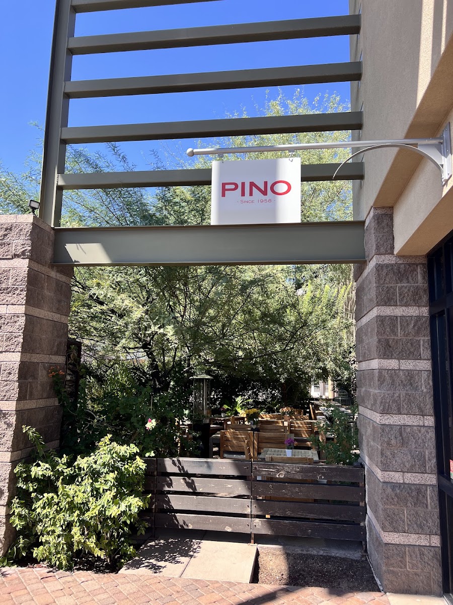 PINO Phoenix - Photo 4