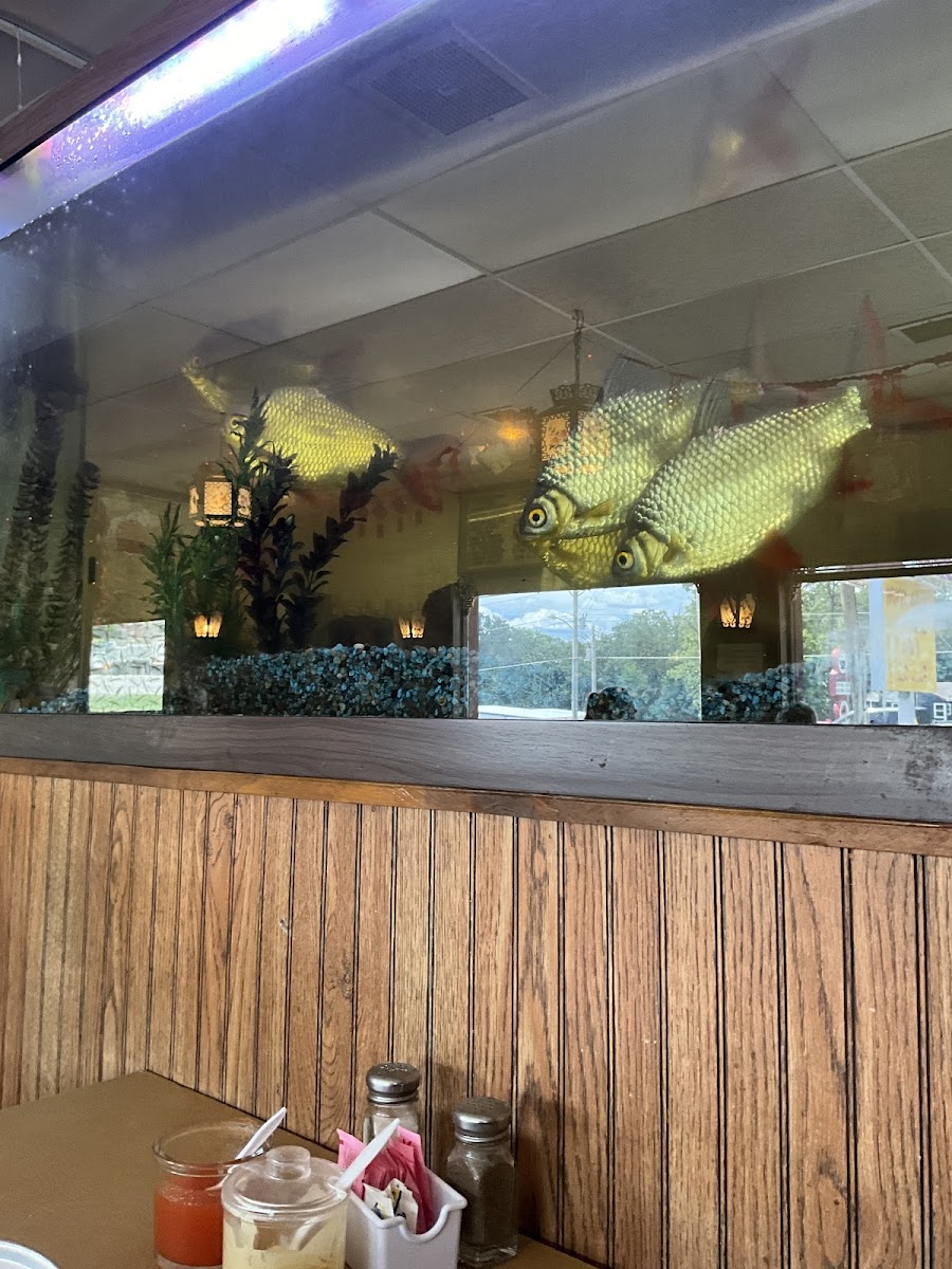 China Town Chinese Restaurant Camdenton - Photo 2