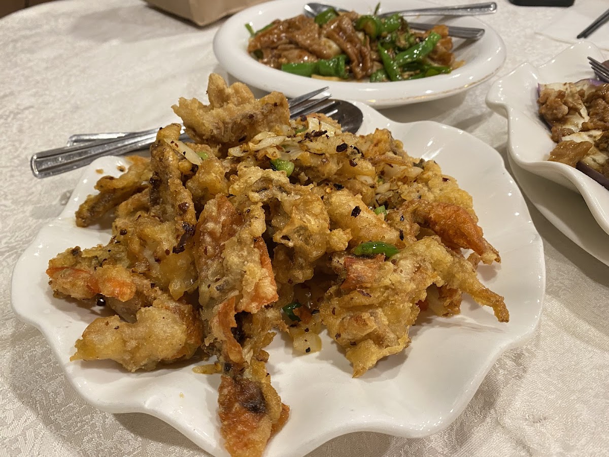 Dynastie - Photo 6