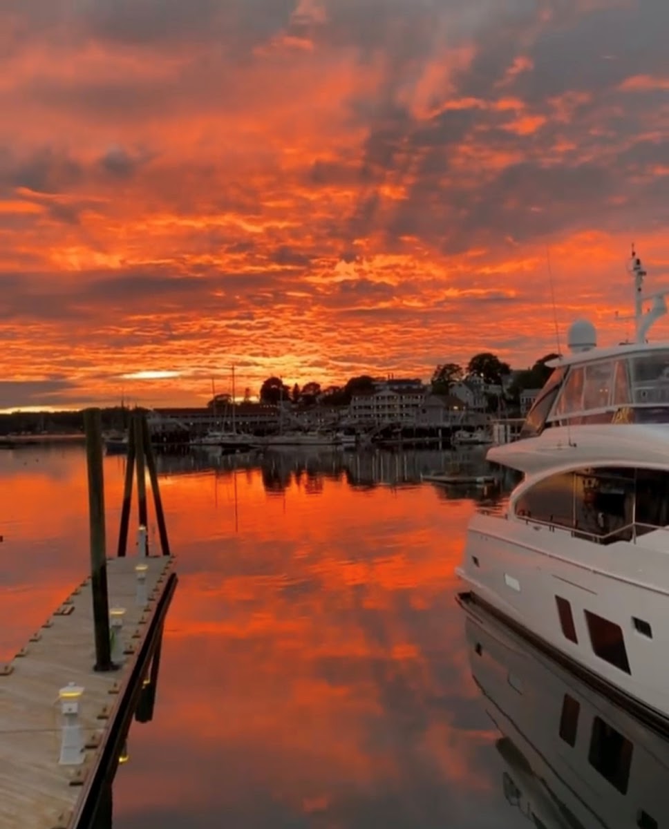 Coastal Prime - Photo 2