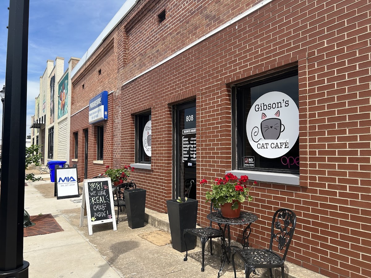 Gibson's Cat Cafe