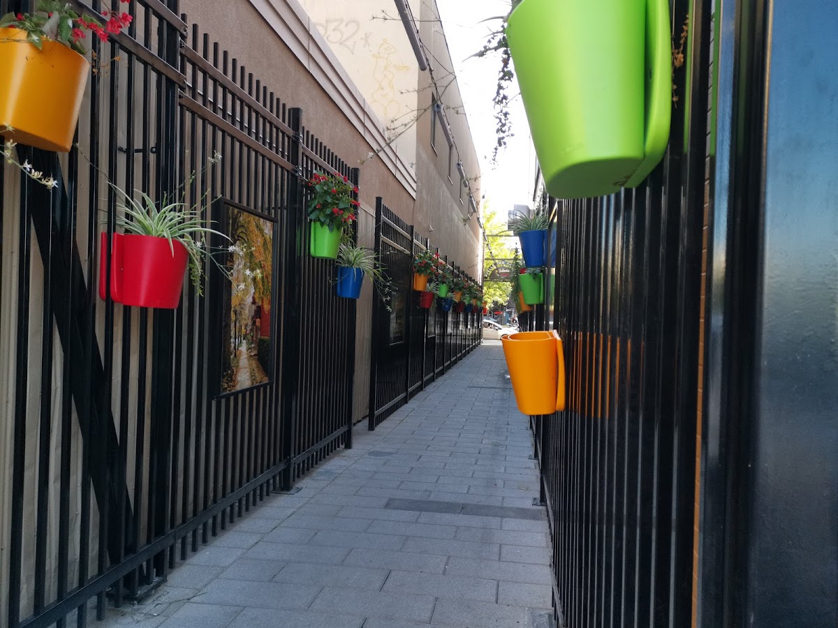 Brulerie Du Roy - Photo 3