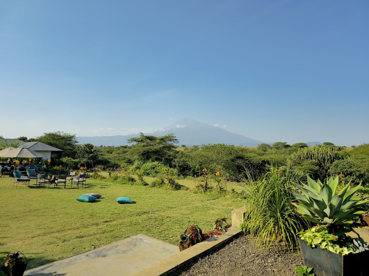 The Blue Heron Restaurant - Photo 9