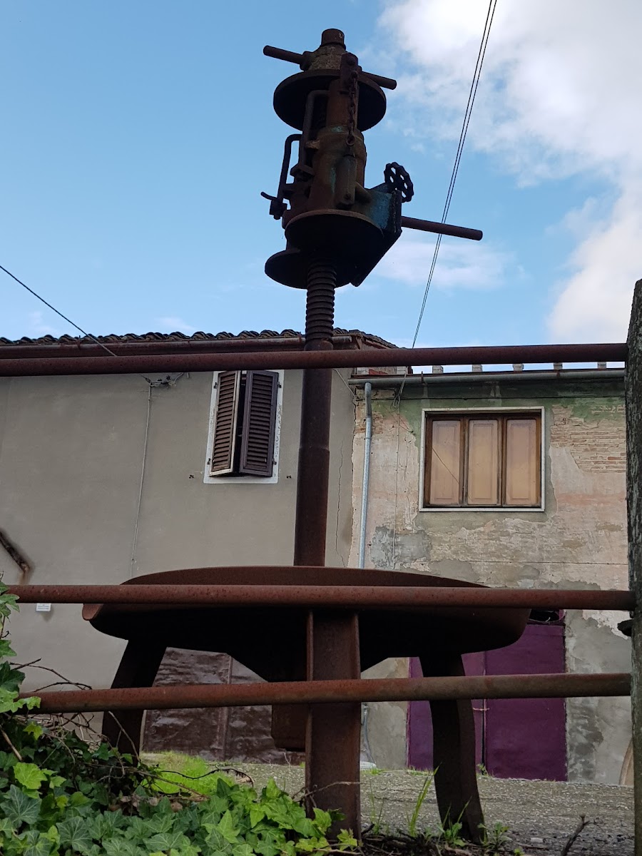 Da Baffo - Photo 7