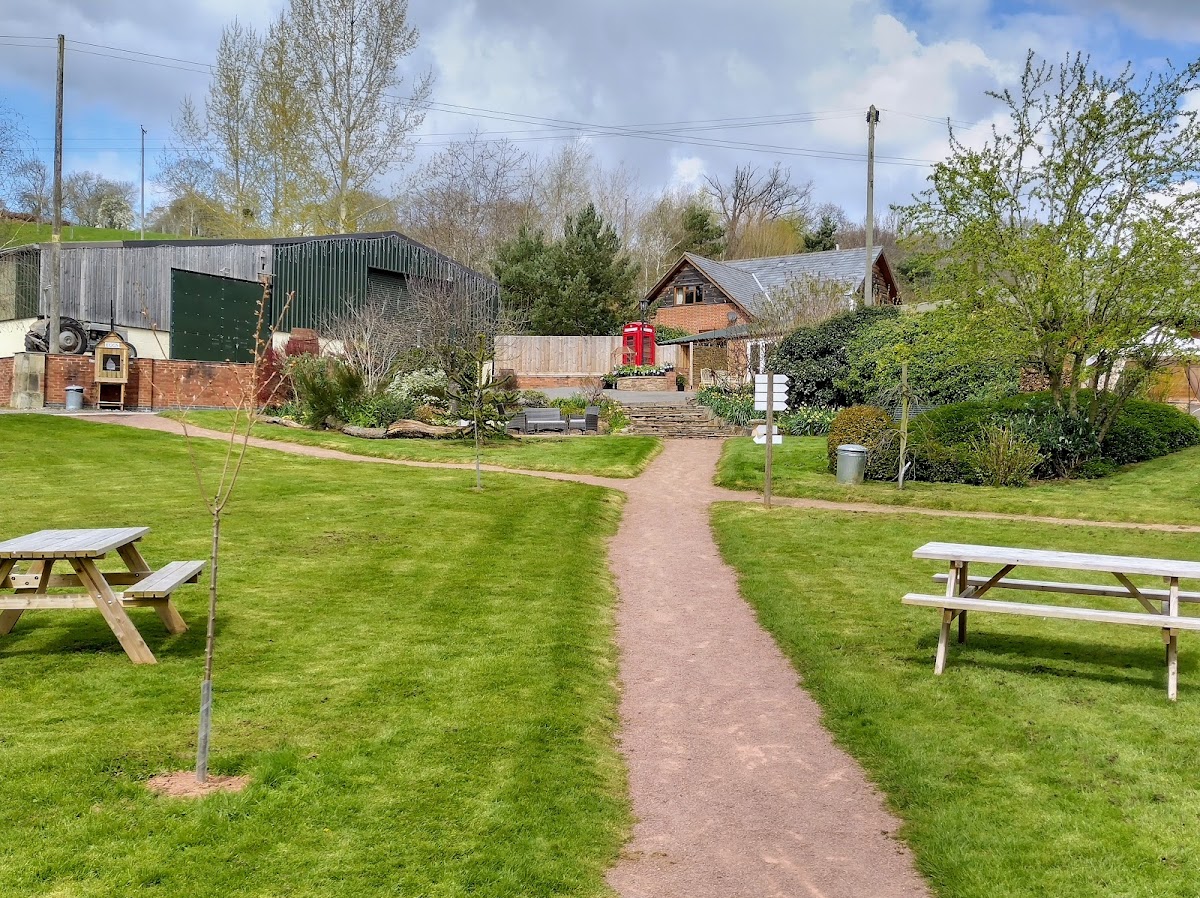 The Apple Tree Kitchen - Photo 6