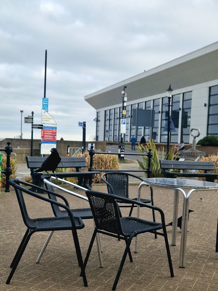 Kingsway Kiosks
