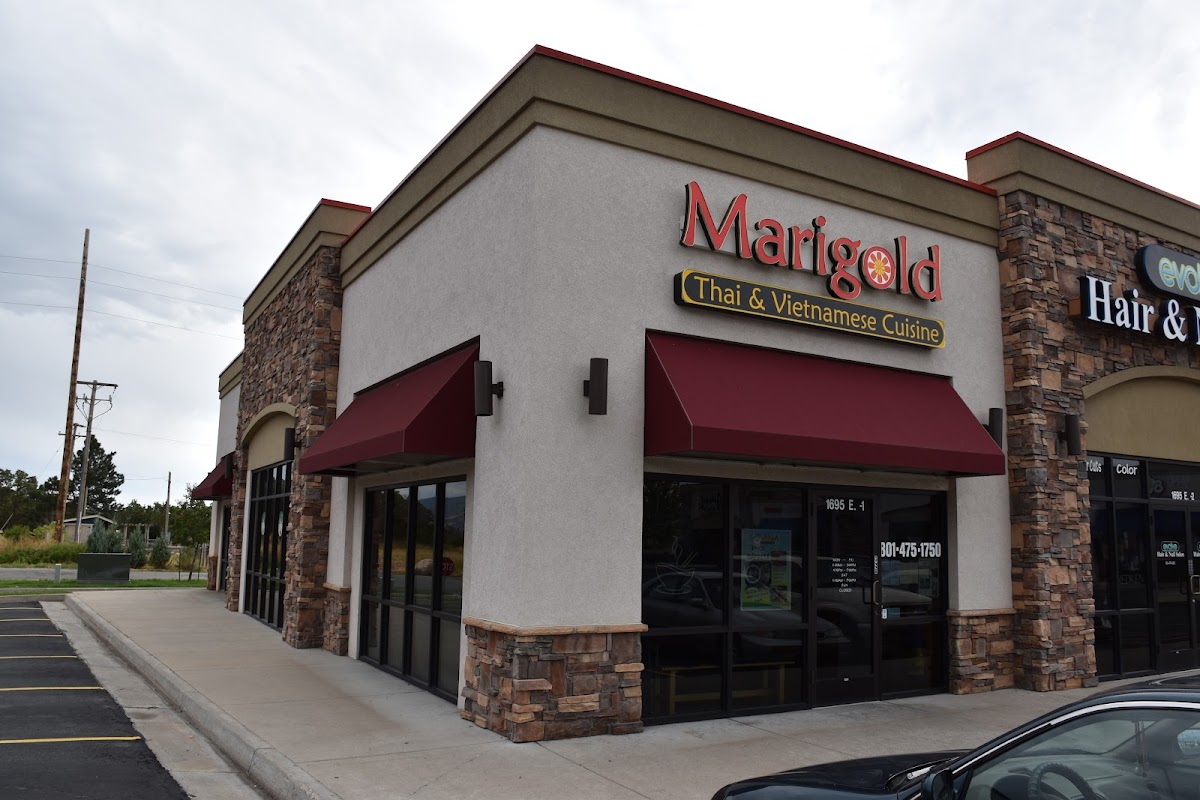 Marigold