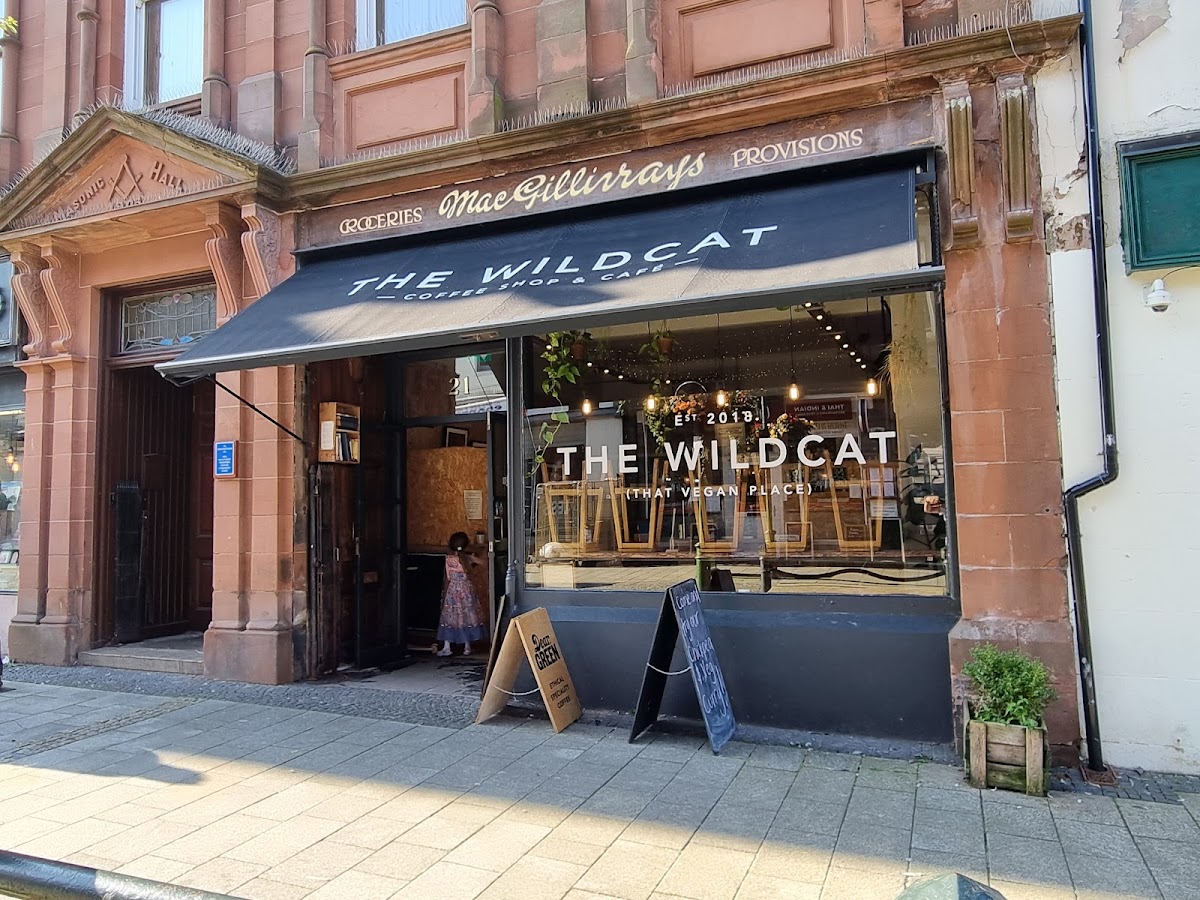 The Wildcat