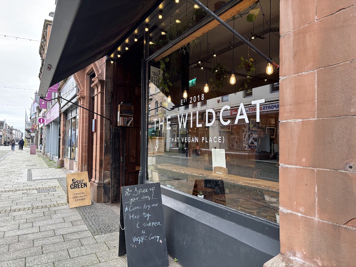 The Wildcat - Photo 5